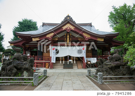 素戔雄神社 素戔雄神社 7945286