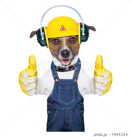 under construction dog 7945524