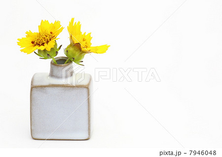 黄色い花と小さな花瓶 7946048