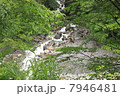 渓谷 7946481