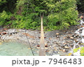 つり橋 7946483
