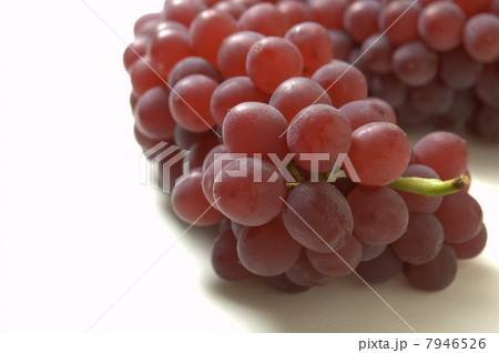 デラウェア 7946526