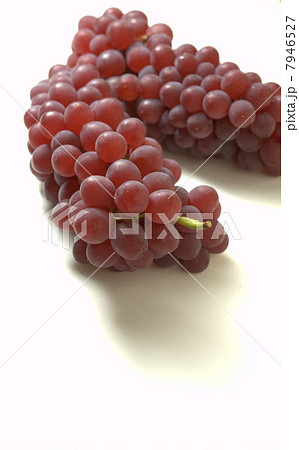 デラウェア 7946527