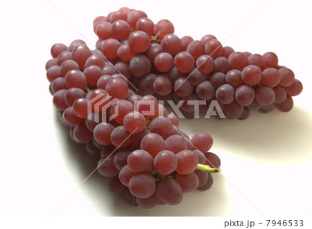 デラウェア デラウェア 7946533