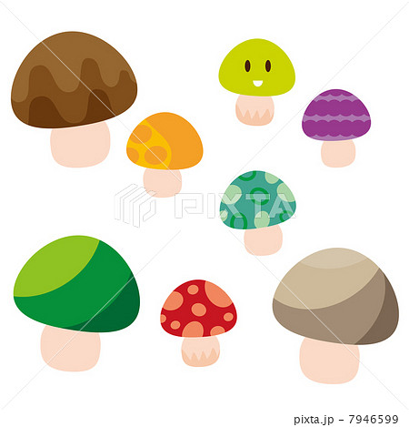 毒キノコ 7946599