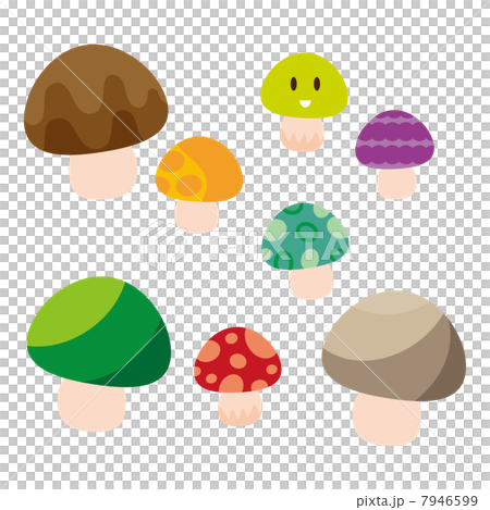 毒キノコ 7946599