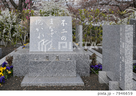 不二のまなざしに抱かれて 7946659