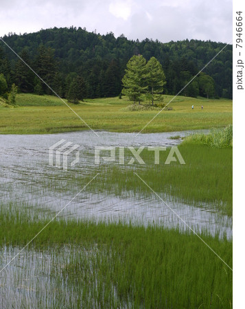 尾瀬沼 7946664