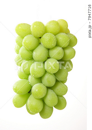 シャインマスカット 7947716