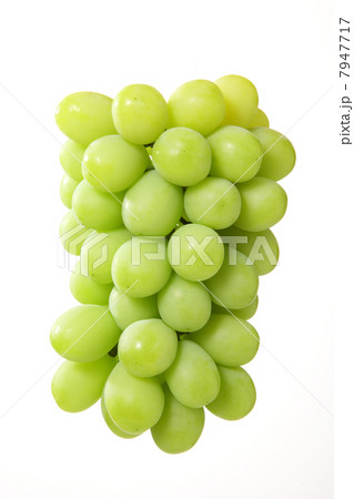 シャインマスカット 7947717