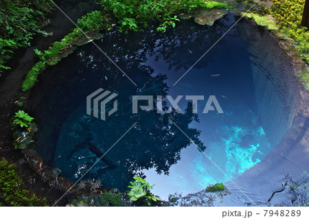 柿田川湧水公園 7948289