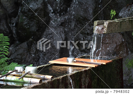 柿田川湧水公園 7948302