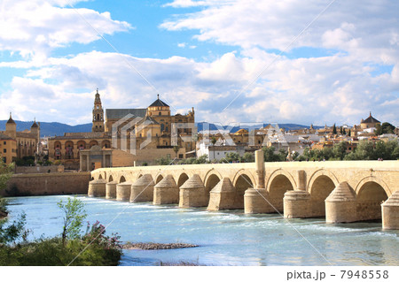 Great Mosque and Roman Bridge, Cordoba, Spain 7948558