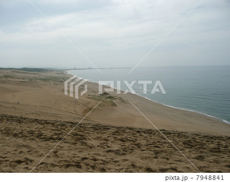 鳥取砂丘 鳥取砂丘 7948841