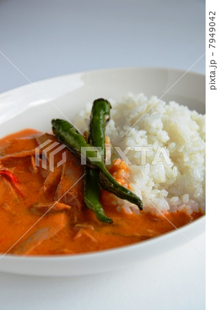 タイカレー 7949042