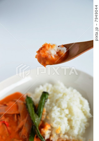 タイカレー タイカレー 7949044
