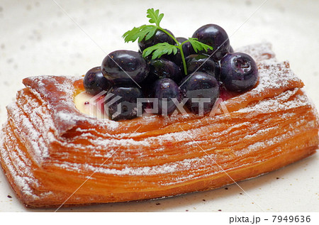 ブルーベリー ブルーベリー 7949636