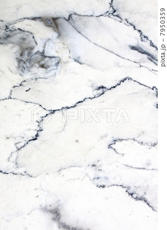 Granite flooring. 7950359