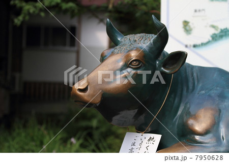 撫牛 7950628