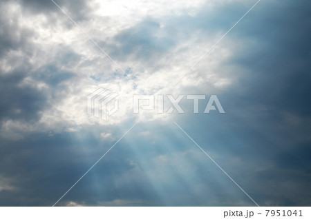 天使のはしご 天使のはしご 7951041