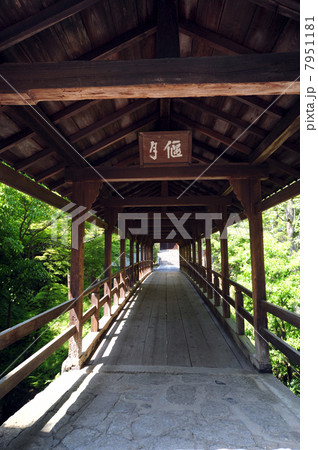 東福寺偃月橋-2 7951181
