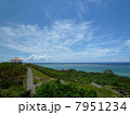 玉取崎展望台の風景 7951234