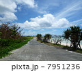 鳩間島の風景 7951236