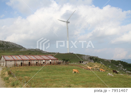 四国カルスト 7951407