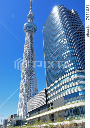 青空と東京スカイツリーとイーストタワー 青空と東京スカイツリーとイーストタワー 7951881