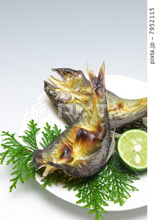 鮎の一夜干し 7952115