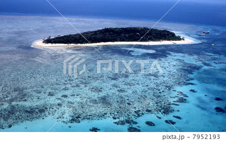 グリーン島 グリーン島 7952193