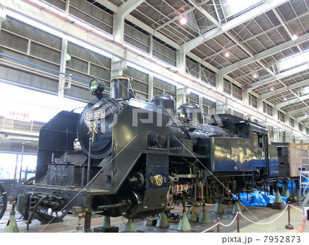 D51 D51 7952873