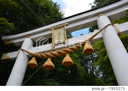 宝登山神社 宝登山神社 7953273
