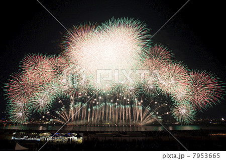 花火 7953665
