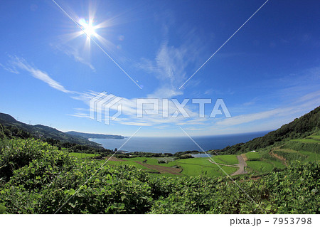 東後畑棚田 7953798