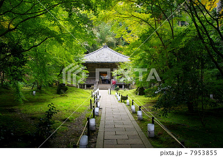 円通院／三慧殿（宮城県松島町） 7953855
