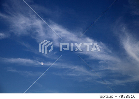 絹雲と月 7953916