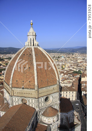 フィレンツェ 7953928