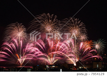 花火 花火 7954129
