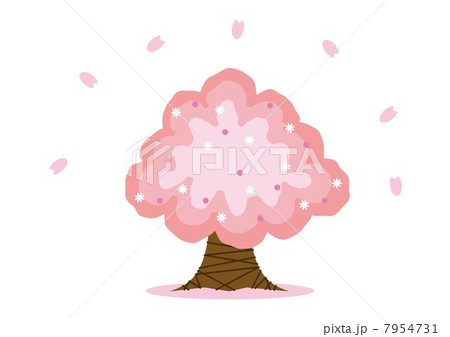 桜 桜 7954731