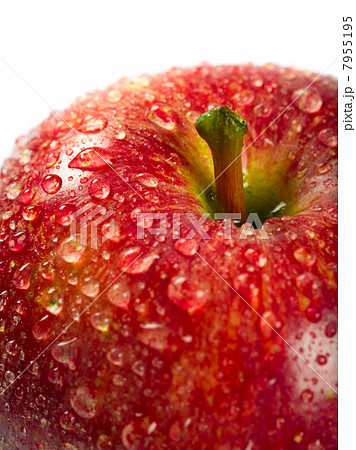 Wet red apple macro Wet red apple macro 7955195