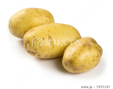 Potatoes on white background Potatoes on white background 7955197