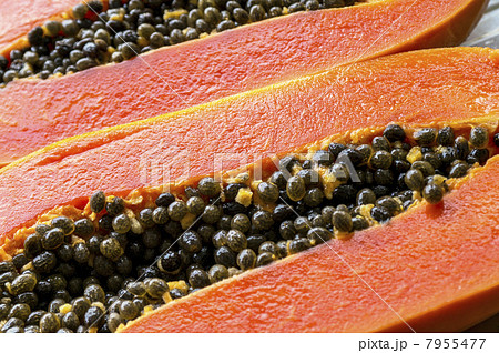 Ripe papaya. Ripe papaya. 7955477
