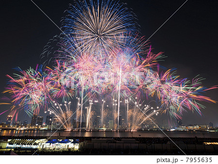 大阪　淀川の花火 7955635