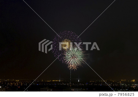 横浜港に上がる打ち上げ花火 7956825