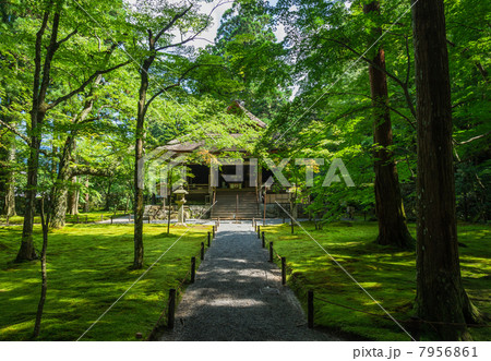 京都　大原三千院　往生極楽院 7956861