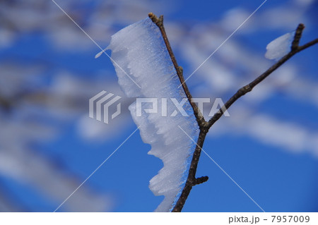 小さなアート 7957009