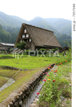 合掌造りの民家 合掌造りの民家 7957086