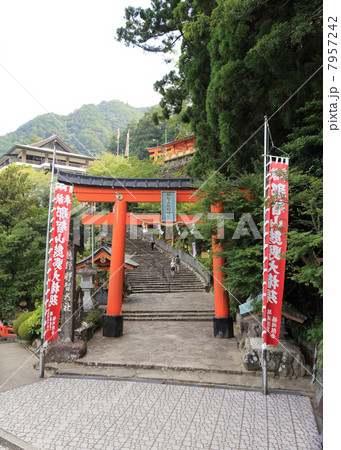 熊野那智大社 7957242