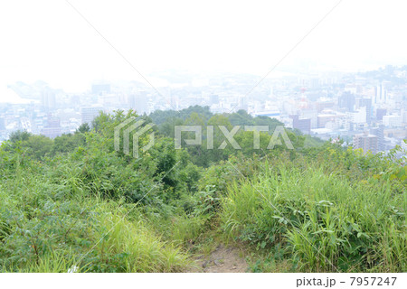 小樽市と緑 7957247